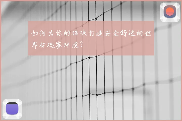 如何为你的猫咪打造安全舒适的世界杯观赛环境?