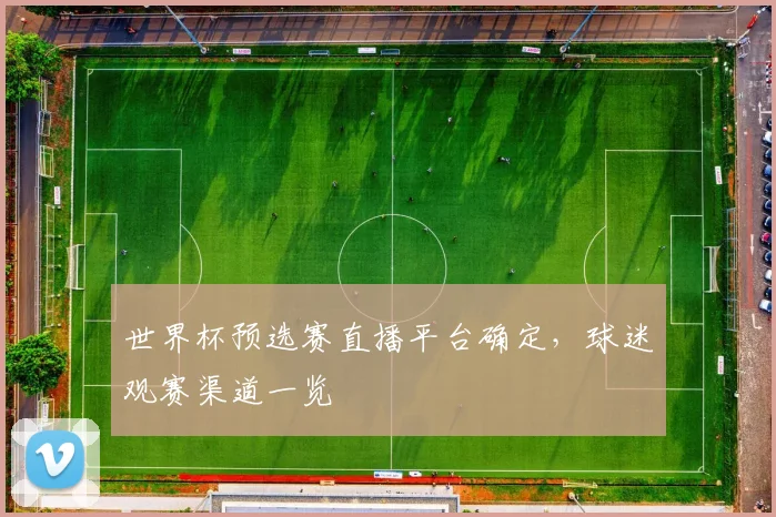 世界杯预选赛直播平台确定,球迷观赛渠道一览