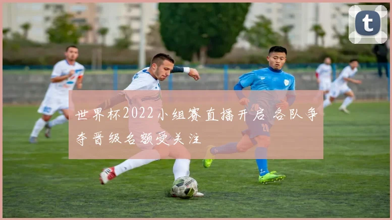 世界杯2022小组赛直播开启 各队争夺晋级名额受关注