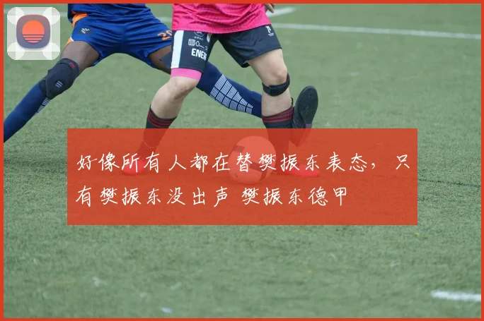 好像所有人都在替樊振东表态,只有樊振东没出声 樊振东德甲